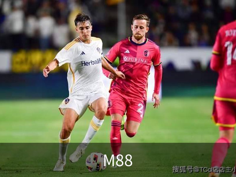 走进M88